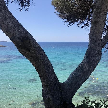 Les Baux 2 Sanary Sur Mer Buitenkant foto