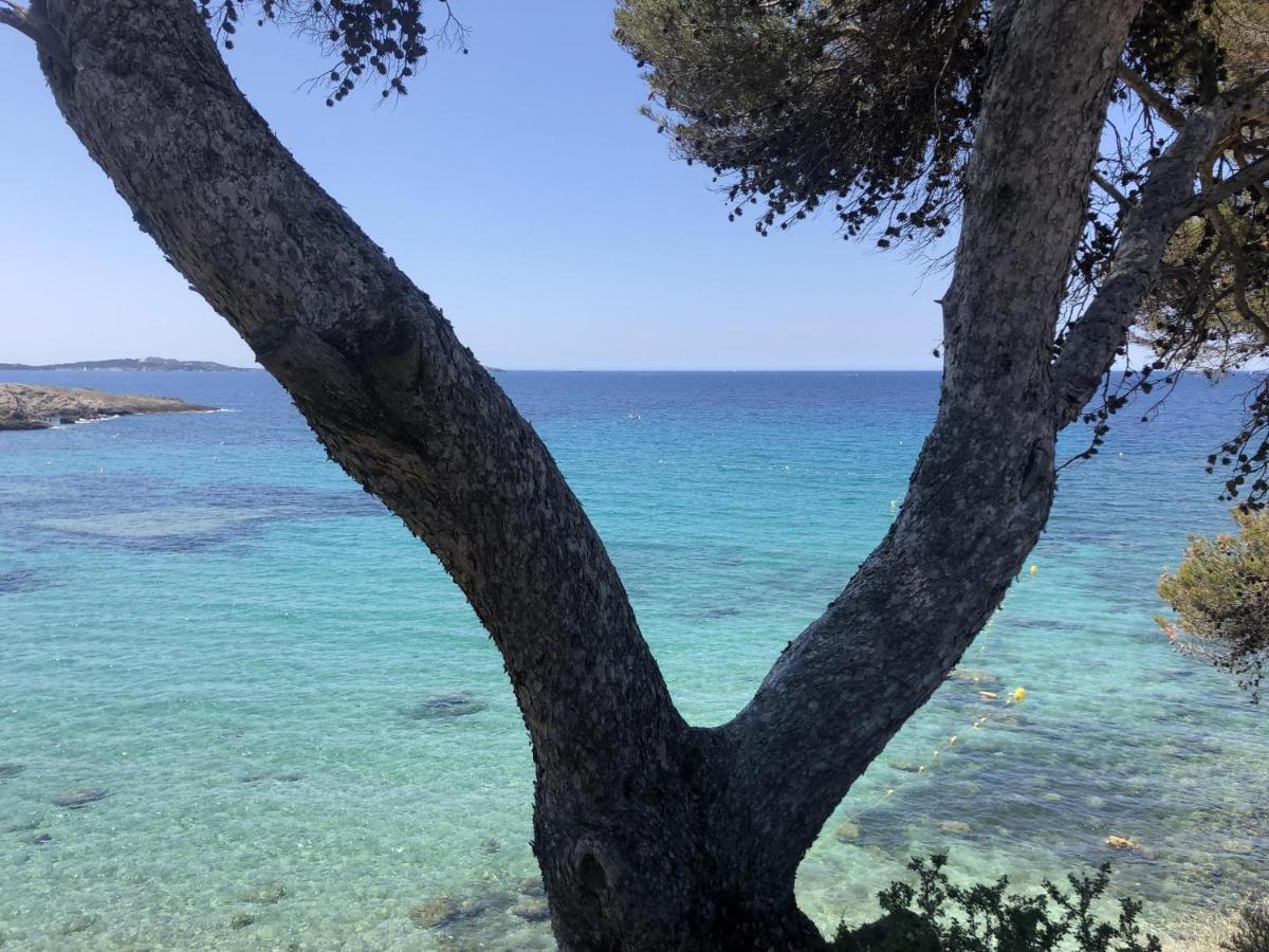 Les Baux 2 Sanary Sur Mer Buitenkant foto